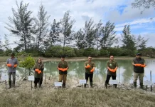 Penanaman 500 Mangrove Memperingati Hari Lingkungan Hidup