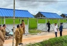 Bupati Bangka Tengah Tinjau Pembangunan Lapak UMKM di Persawahan Desa Namang