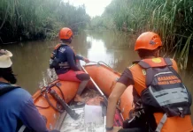 Basarnas Hentikan Operasi SAR Kamaludin setelah Penyisiran 23 Km² Hutan