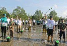 Hari Lingkungan Hidup Sedunia, 1.000 Bibit Mangrove Ditanam di Pantai Baskara Bakti