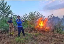 Kolaborasi Jadi Kunci Pencegahan Karhutla di Bangka Barat