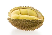 Tips Menghilangkan Bau Durian setelah Mengonsumsinya