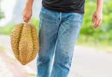Kenali Ciri-Ciri Buah Durian yang Bagus sebelum Membeli