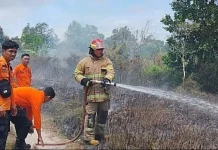 BPBD Pangkalpinang Petakan Titik Rawan Karhutla
