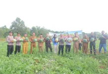 Bupati Markus Ajak Masyarakat Olah Lahan Kritis Jadi Produktif