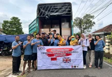 Daun Manggis Kering dari Bangka Belitung Diekspor ke UK