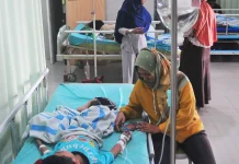 Kasus DBD di Bangka Tembus 102 Kasus