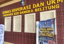 Babel Kejar Target Wajib Halal Oktober 2026