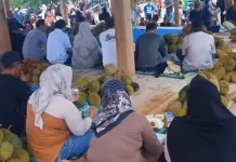 "Sedekah Kelekak" Bagikan Gratis Durian di Desa Air Mesu Bangka Tengah