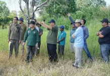 158,69 Hektar di Batu Beriga Siap Dijadikan Perkebunan Kelapa