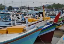 Nilai Produksi Perikanan di PPN Sungailiat Capai Rp64 miliar
