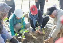 Hari Lingkungan Hidup Sedunia, GOW Bateng Tanam Mangrove & Pungut Sampah