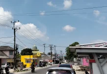 BMKG : Kemarau Tahun Ini Berpotensi Picu Kekeringan dan Karhutla