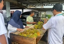Wisata Durian di Desa Teruk Bangka Tengah