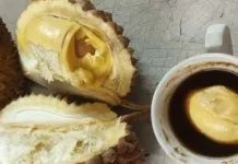 Kopi Durian Hadirkan Perpaduan Cita Rasa Kopi dan Durian