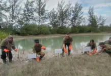 Merawat Pohon Jadi Kunci Sukses Program Penghijauan
