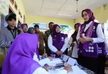 Posyandu Kini Punya 6 Layanan Dasar di Tingkat Desa