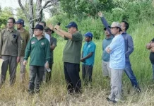Desa Batu Beriga Dijadikan Sentra Perkebunan Kelapa