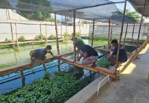 Agroedupark Dorong Pembinaan Produktif Warga Binaan di Lapas Pangkalpinang
