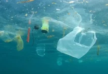 Hari Bebas Kantong Plastik Sedunia, Pemuda Belitung Ajak Bawa Tas Belanja Sendiri