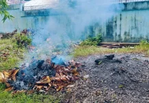 Tak Ada Bank Sampah, Warga Bangka Masih Bakar Sampah di Kebun
