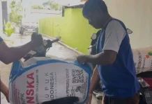 Pemkab Bangka Salurkan Pupuk Subsidi Dukung Ketahanan Pangan
