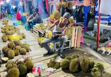 Musim Durian di Bangka Berakhir Dua Pekan Lagi