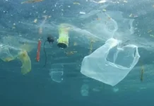 Hari Bebas Kantong Plastik ke-11: Ajak Warga Sungailiat Bawa Tas Belanja Sendiri