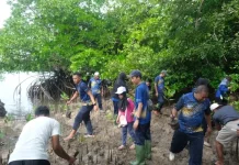Bupati Markus Ajak Warga Jaga Kawasan Mangrove