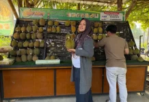 Durian Lokal Babel dari Kebun hingga Kontes