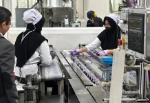 Pemkab Bangka Catat 28 TKA, Mayoritas Pekerja Lintas Wilayah