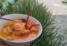 Olahan Tempoyak Durian, Kreasi Kuliner yang Menggugah Selera