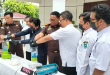 BNNK Bangka Ungkap Dampak Narkoba terhadap Kerusakan Jaringan Otak