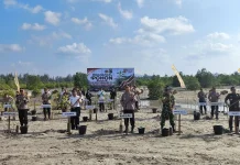 Puluhan Ribu Bibit Mangrove Ditanam, Pemprov Babel Pulihkan Pesisir yang Rusak