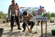 Reklamasi Pantai Rebo: Polda Babel Tanam 3.000 Mangrove dan Cemara di Lahan 3 Hektare