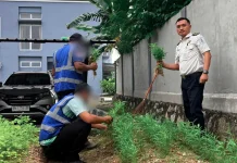 Bapas Tanjungpandan Libatkan Klien Kelola Lahan Tidur untuk Ketahanan Pangan