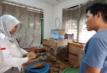 UMKM Babel Sukses Ekspor Daun Ketapang