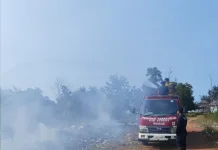 Damkar Bangka Padamkan Kebakaran Hutan dan Lahan di Pantai Matras dalam Satu Jam