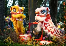 Barongsai, Tarian Tradisional Tiongkok Mendunia