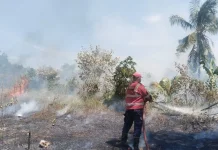 Cegah Kebakaran Lahan, BPBD Imbau Masyarakat Tidak Menyalakan Api Sembarangan