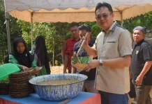 Bupati Bangka Barat: Festival Nambul Jerieng Jadi Upaya Lestarikan Kearifan Lokal