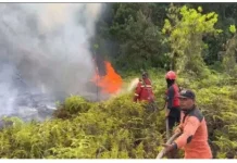 Kemarau Tingkatkan Risiko Karhutla di Bangka Belitung