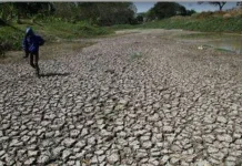 Bangka Selatan Alami Tingkat Kekeringan Lebih Tinggi
