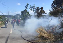 Puncak Musim Kemarau, Karhutla di Bangka Meningkat Signifikan