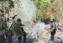 Tim Damkar Bangka Berhasil Tangani 10 Kebakaran dalam Sehari
