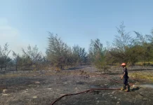 Damkar Bangka Perketat Patroli, 101 Titik Panas Terdeteksi di Babel