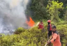 Puncak Kemarau Diprediksi Agustus-September