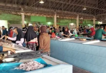 Angin Kencang Picu Kelangkaan Ikan, Pasar Higienis Kesulitan Pasokan