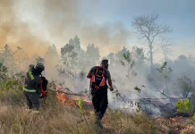 Potensi Karhutla di Bangka Belitung Risiko Tinggi