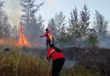 Kesadaran Warga Meningkat Dukung Pencegahan Karhutla Bangka